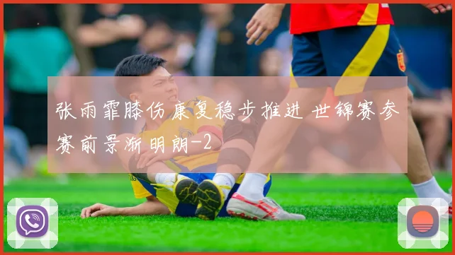 张雨霏膝伤康复稳步推进 世锦赛参赛前景渐明朗
